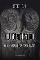 Hugget i sten af Steen B.J.
