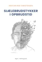 SJÆLEBRUDSTYKKER I OPBRUDSTID af Kristian Boe  Christensen