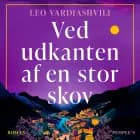 Ved udkanten af en stor skov