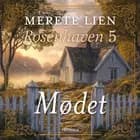 Mødet