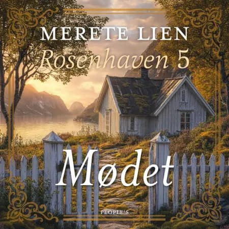 Mødet af Merete Lien