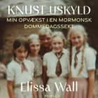 Knust uskyld af Elissa Wall og Liza Pulitzer