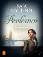 Skæbnerejse af Kaja Nylund