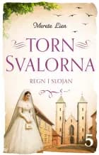 Regn i slöjan