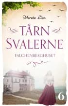 Falchenberghuset