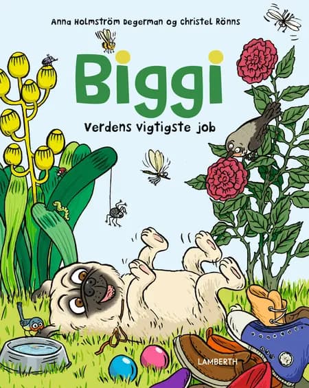 Biggi - Verdens vigtigste job af Anna Holmström Degerman