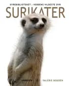 Surikater af Valerie Bodden