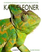 Kamæleoner af Valerie Bodden