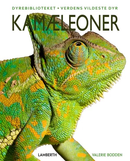 Kamæleoner af Valerie Bodden