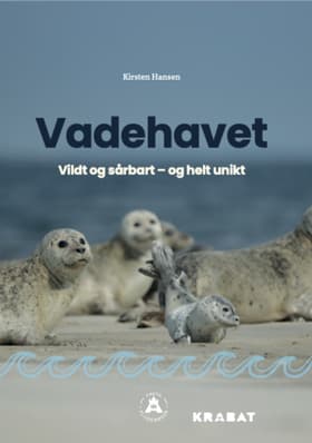 Vadehavet af Kirsten Hansen