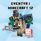 Eventyr i Minecraft 12