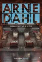 Underværker af Arne Dahl