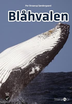 Blåhvalen af Per Straarup Søndergaard