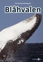 Blåhvalen