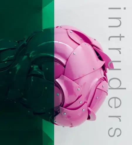 Intruders af Bjørn Poulsen