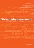 Virksomhedsøkonomi