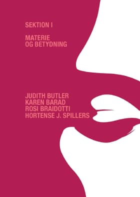 Materie og betydning af Dorthe Staunæs