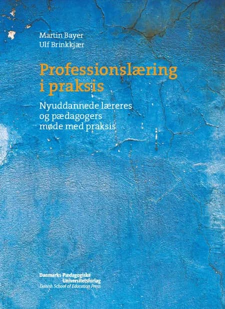 Professionslæring i praksis af Martin Bayer