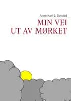 Min vei ut av mørket af Anne Kari B. Solstad