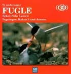 Vi undersøger fugle