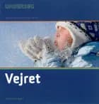 Undersøg Vejret