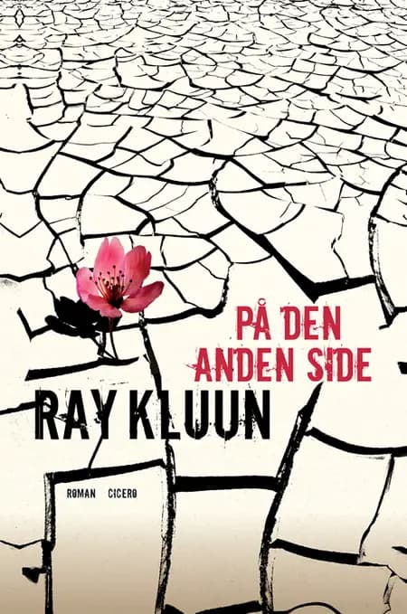 På den anden side af Ray Kluun
