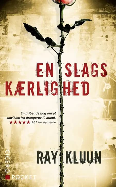 En slags kærlighed af Ray Kluun