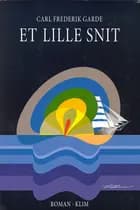 Et lille snit