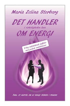 Det handler i virkeligheden kun om energi af Maria Zelina Storborg