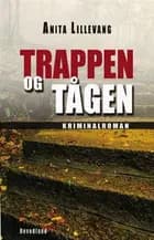 Trappen og tågen af Anita Lillevang