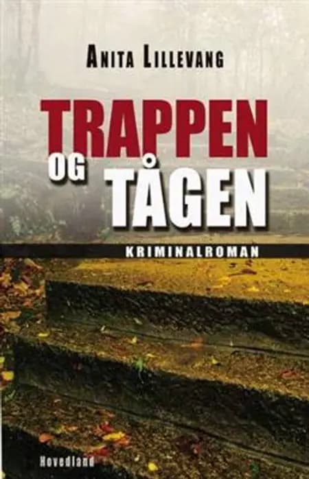 Trappen og tågen af Anita Lillevang