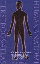 Human anatomi. Thorax & abdomen
