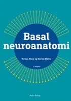 Basal neuroanatomi