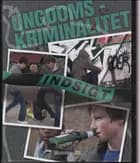 Ungdomskriminalitet