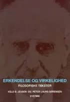 Erkendelse og virkelighed af Keld B. Jessen og Peter Laurs Sørensen