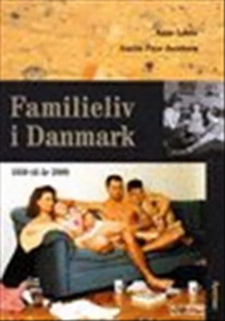 Familieliv i Danmark, 1550 til år 2000 af Anette Faye Jacobsen