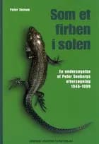 Som et firben i solen