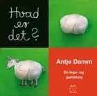 Hvad er det?
