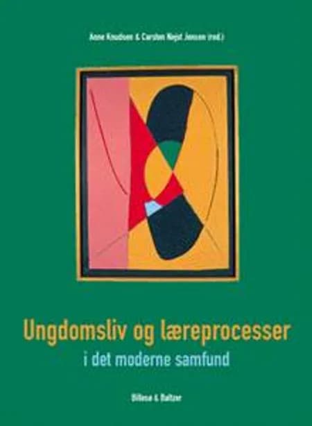Ungdomsliv og læreprocesser i det moderne samfund af Johannes Andersen