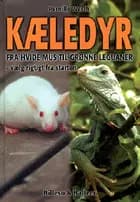Kæledyr
