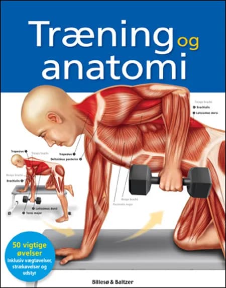 Træning og anatomi af Ken Ashwell