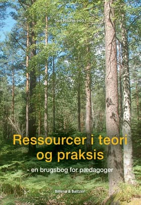 Ressourcer i teori og praksis af Jytte Birk Sørensen