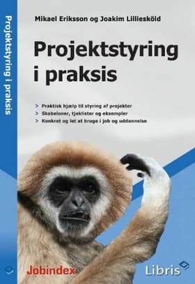 Projektstyring i praksis af Mikael Eriksson