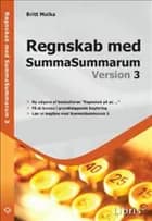 Regnskab med SummaSummarum version 3 af Britt Malka