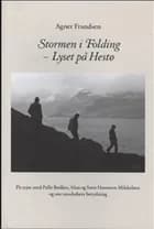 Stormen i Folding - Lyset på Hestø af Agner Frandsen