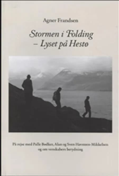 Stormen i Folding - Lyset på Hestø af Agner Frandsen
