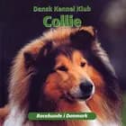 Collie af Charlotte Høier