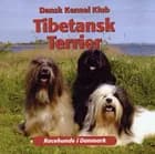 Tibetansk Terrier af Hanne Mathiasen