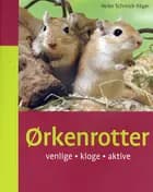 Ørkenrotter