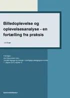 Billedoplevelse og oplevelsesanalyse - en fortælling fra praksis